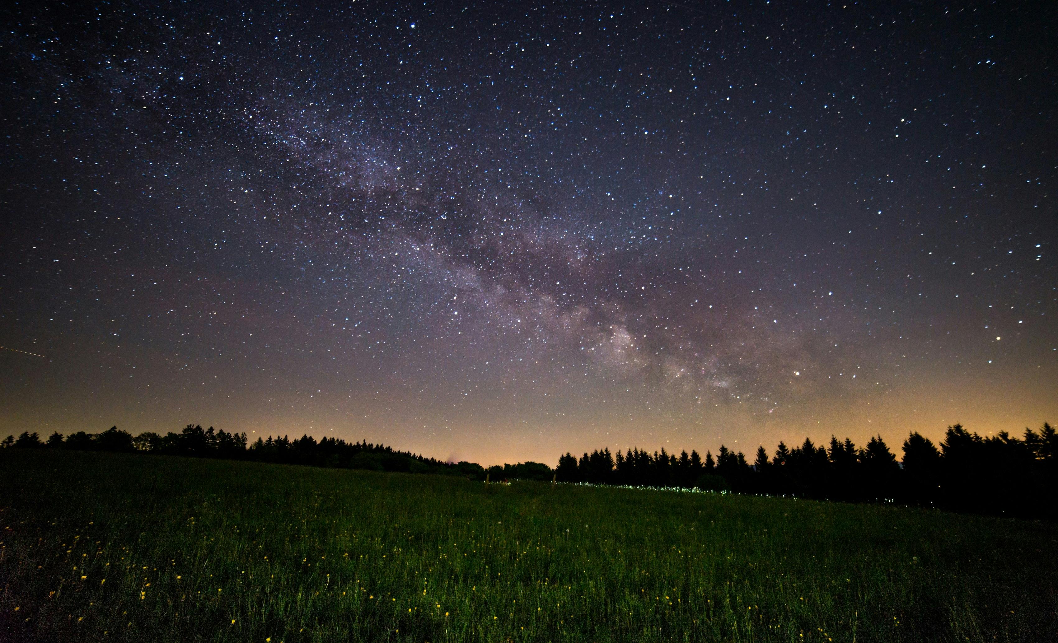 a starry night sky with the Milky Way Galaxy visible above a grassy meadow